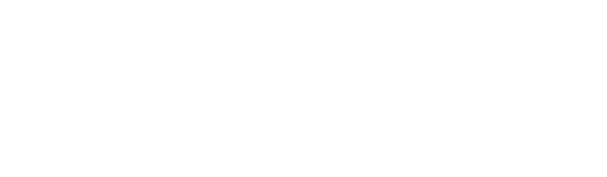 Logo Visit Arnhem Nijmegen